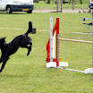 DSC00802.JPG