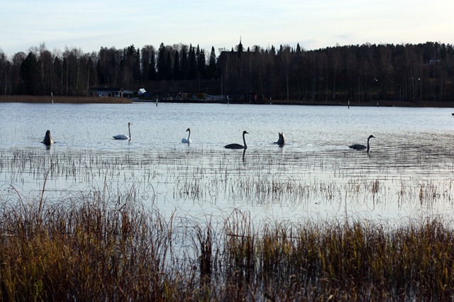 IMG_3870 IMG_3870