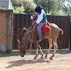 2EncontrodeMuladeiros-386.JPG