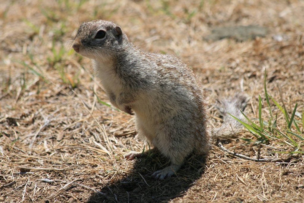 [IMG_1476%255B5%255D.jpg]