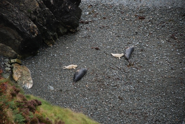 [DSC_0129%255B6%255D.jpg]