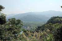 IMG_5514.JPG