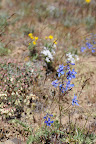 DSC_0937.jpg