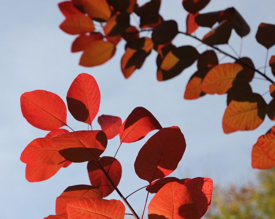 [IMG_4506%255B4%255D.jpg]