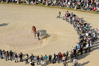 Aerial view of the vet check
