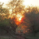 SafariWalkAtKruger SafariWalkAtKruger