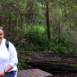 A Moment of Quiet in the Forest - Valley of the Giants, Australia