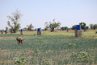 DSC_0027.JPG