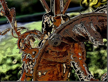 snail