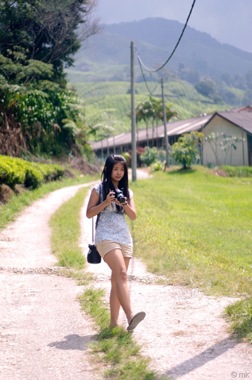 [DSC_13238.jpg]
