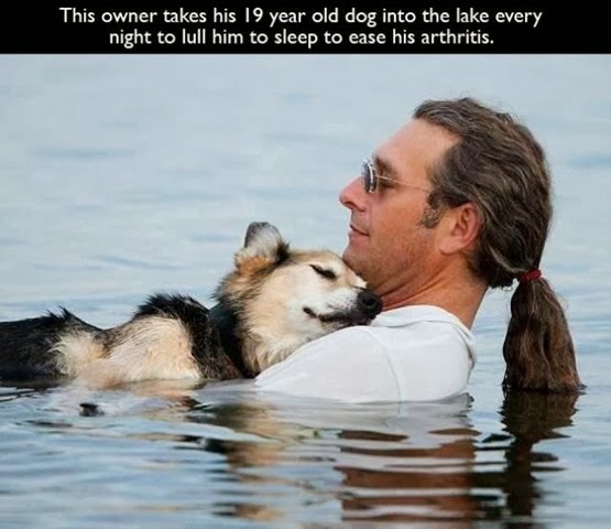 [awesome-pet-owners-7%255B2%255D.jpg]