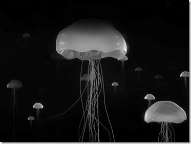 medusas radioactivas