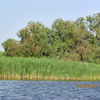 IMG_7820.JPG