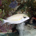 P7014113