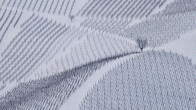 Tema Prosta_2N_Elica Tavcar_Umetnost zime.jpg