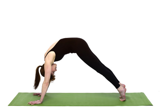 Exhale and curl your tailbone down while lifting your navel, creating a wave-like move through your belly, ribs, and chest, moving toward a Plank or push-up position.