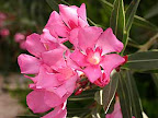 p1238559458(15).jpg