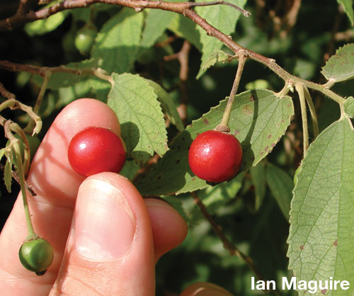 [image%255B5%255D.png]