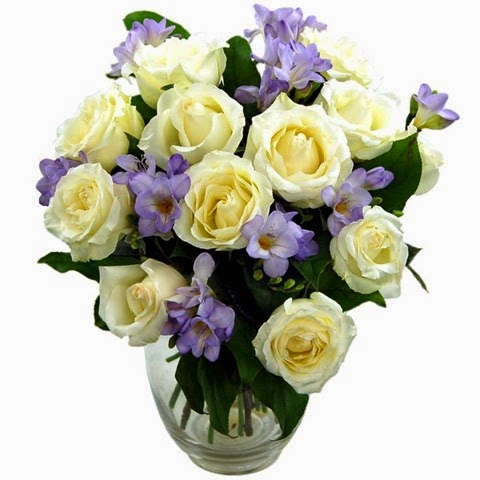 [Clare%2520Florist%2520Breathtaking%2520Amethyst%2520Bouquet%2520-%2520Fresh%2520Rose%2520and%2520Freesia%2520Flowers%2520with%2520FREE%2520Delivery%255B13%255D.jpg]