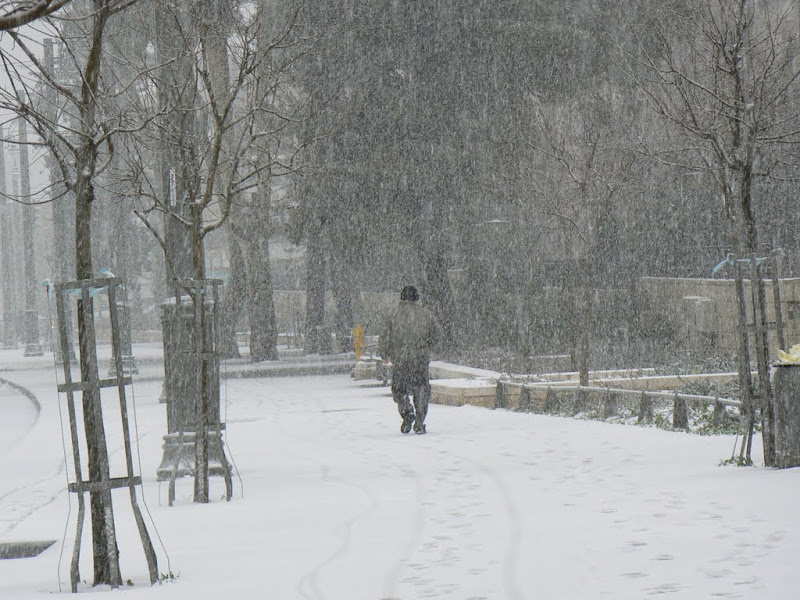 В Иерусалиме снег!!!!