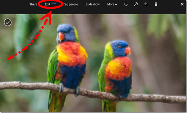 The new Edit feature, but only in chrome browser