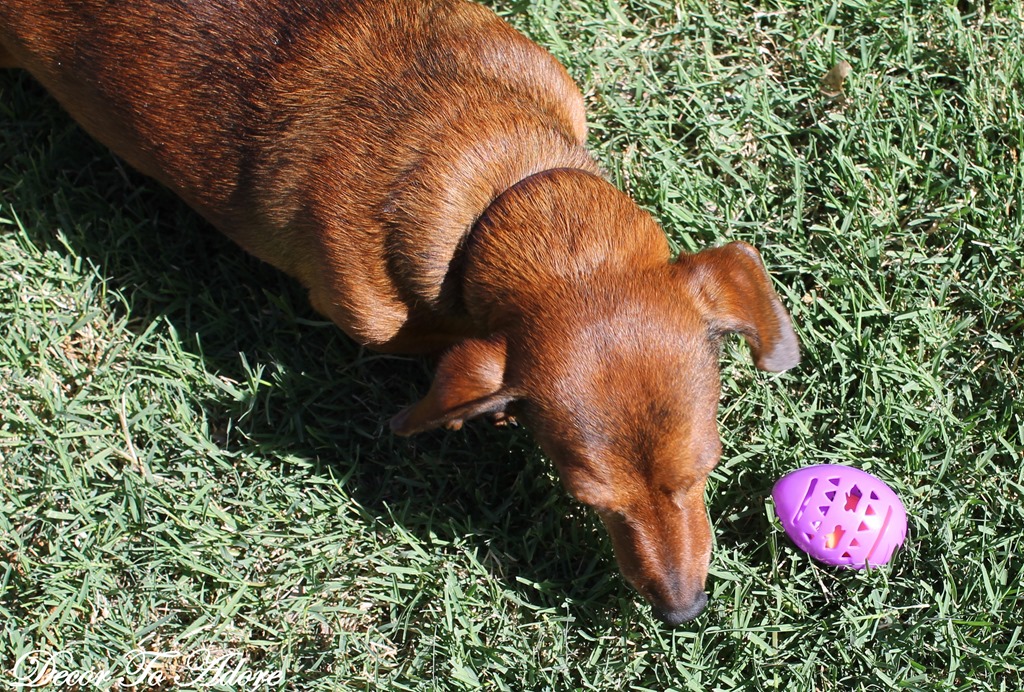 [easter%2520027%255B3%255D.jpg]