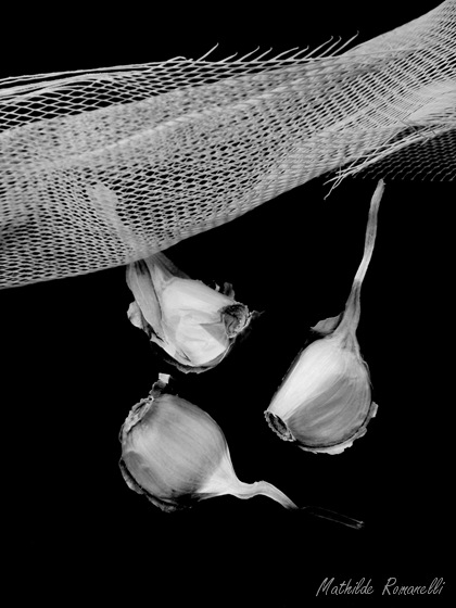 Gourmandise Ail 162 Gourmandise Ail 162