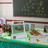 IMG_3734.JPG