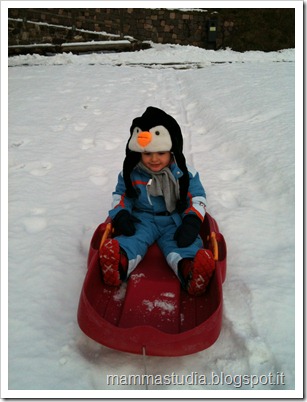 IMG_2922 IMG_2922