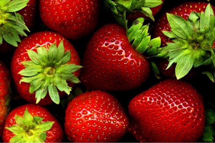 [Fruit%255B6%255D.jpg]