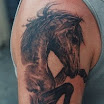 Stallion #2
