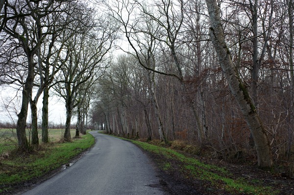[DSC_7216%255B2%255D.jpg]