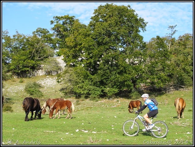 btt urbasa 041 btt urbasa 041
