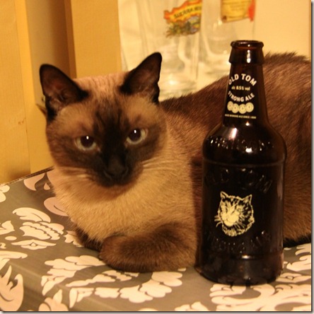 OldTom_cat OldTom_cat