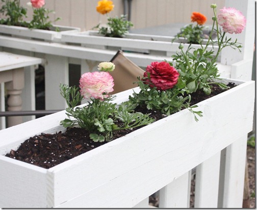 shabby chic flower boxes shabby chic flower boxes