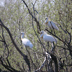 IMG_0901.JPG