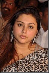 Tamil Actress Namitha Latest Hot Pictures