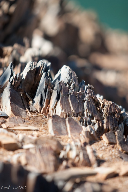 [20120713-IMG_6184%255B7%255D.jpg]