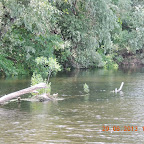 DSCN8246.JPG