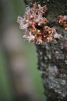 DSC_5907.JPG