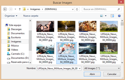 javafx-filechooser javafx-filechooser