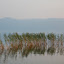Grèce