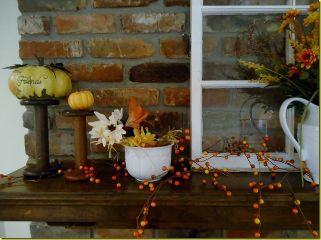 Fall LR 2012 024 Fall LR 2012 024