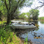 IMG_7682.JPG