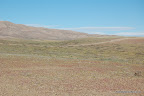 Ruta Costera Desierto Atacama