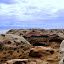 DSC_1089.JPG