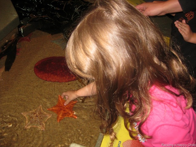 [July16_StarFish%255B2%255D.jpg]