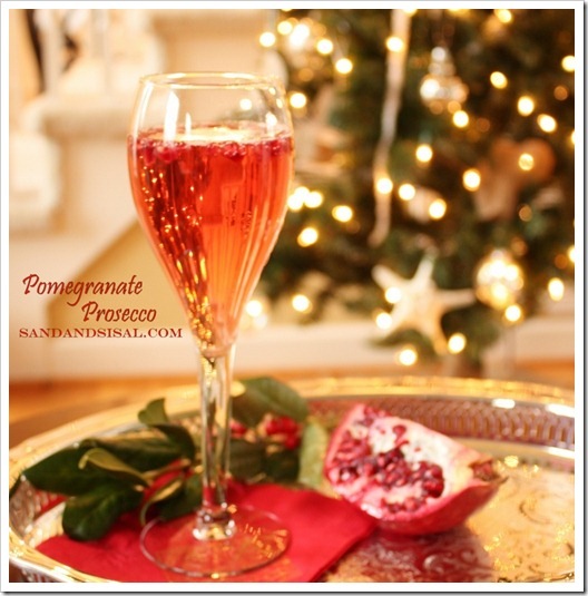 [Pomegranate-prosecco-cocktail-recipe.jpg]