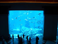ein kleines aquarium im Atlantis Hotel mit Hai, Rochen, Baracuda, .... KOSTENLOS zum angucken