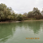 IMG_3064.JPG